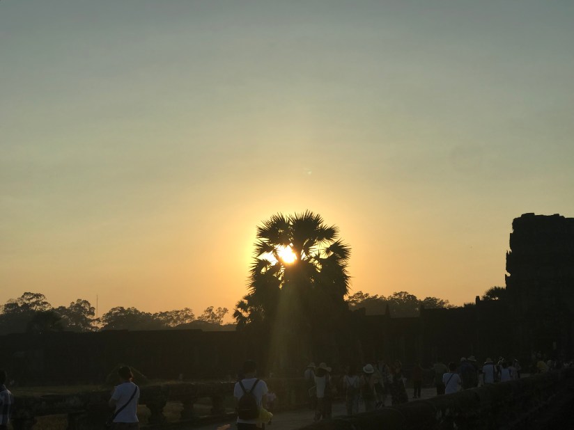 B9210DE4-B12A-4FC9-A330-3629AC1DA965